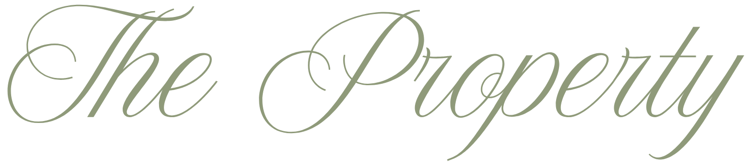 The Property